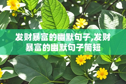 发财暴富的幽默句子,发财暴富的幽默句子简短