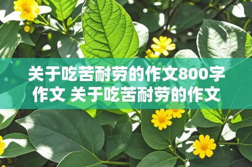 关于吃苦耐劳的作文800字作文 关于吃苦耐劳的作文800字作文高中