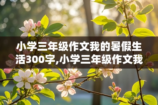 小学三年级作文我的暑假生活300字,小学三年级作文我的暑假生活300字左右