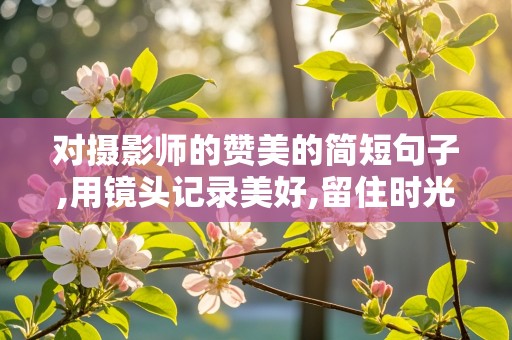 对摄影师的赞美的简短句子,用镜头记录美好,留住时光