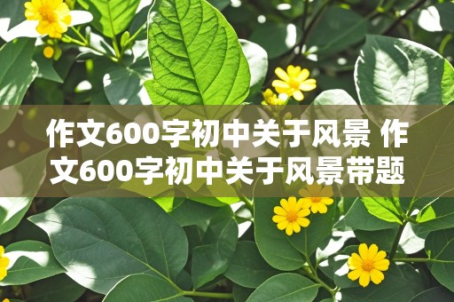 作文600字初中关于风景 作文600字初中关于风景带题目