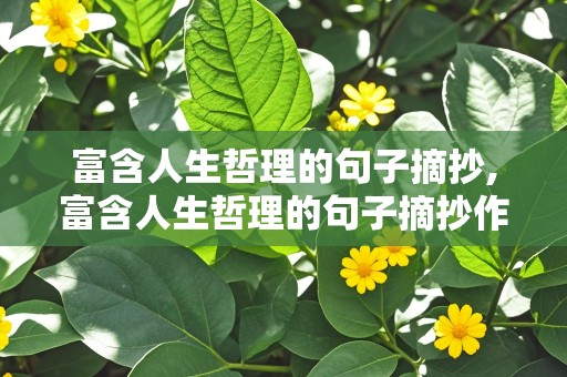 富含人生哲理的句子摘抄,富含人生哲理的句子摘抄作者及出处