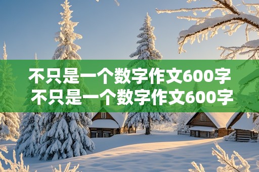 不只是一个数字作文600字 不只是一个数字作文600字初中