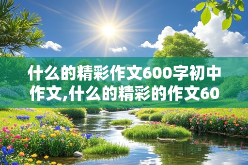 什么的精彩作文600字初中作文,什么的精彩的作文600字