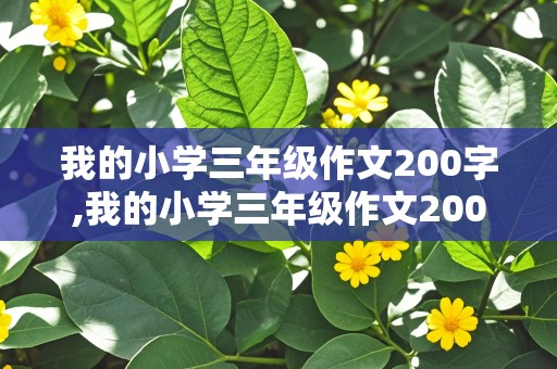 我的小学三年级作文200字,我的小学三年级作文200字怎么写