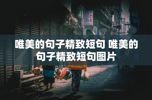 唯美的句子精致短句 唯美的句子精致短句图片