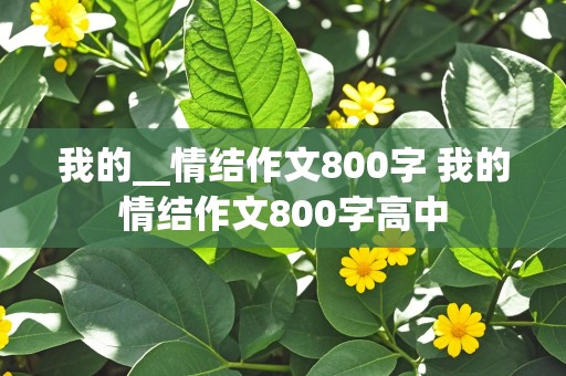 我的__情结作文800字 我的情结作文800字高中