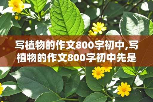 写植物的作文800字初中,写植物的作文800字初中先是逆境