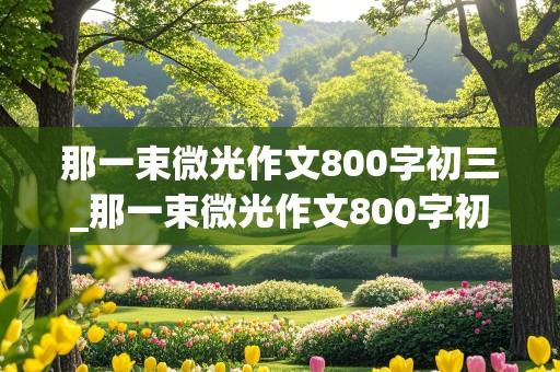 那一束微光作文800字初三_那一束微光作文800字初三记叙文