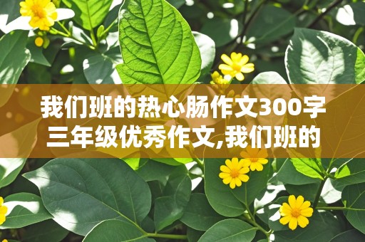 我们班的热心肠作文300字三年级优秀作文,我们班的热心肠作文300字三年级优秀作文结尾