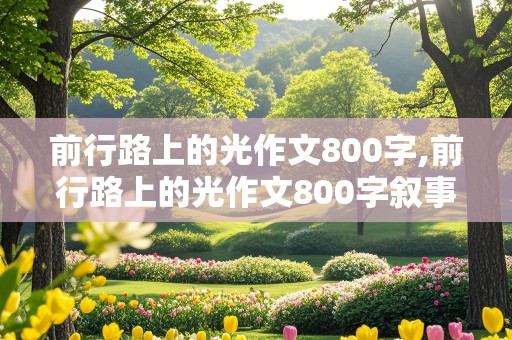 前行路上的光作文800字,前行路上的光作文800字叙事开头