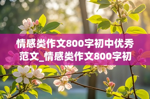 情感类作文800字初中优秀范文_情感类作文800字初中优秀范文带题记