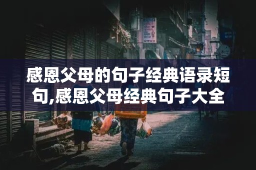 感恩父母的句子经典语录短句,感恩父母经典句子大全