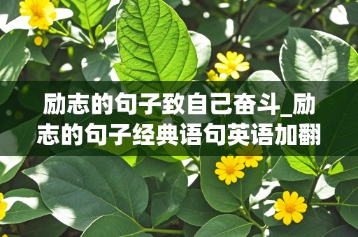 励志的句子致自己奋斗_励志的句子经典语句英语加翻译