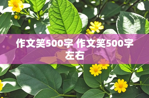 作文笑500字 作文笑500字左右