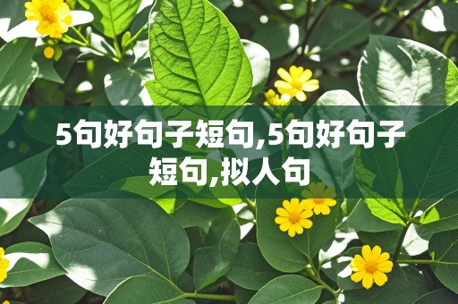 5句好句子短句,5句好句子短句,拟人句