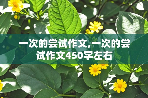 一次的尝试作文,一次的尝试作文450字左右