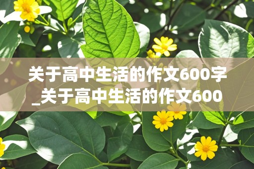 关于高中生活的作文600字_关于高中生活的作文600字记叙文