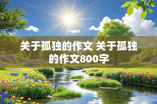 关于孤独的作文 关于孤独的作文800字