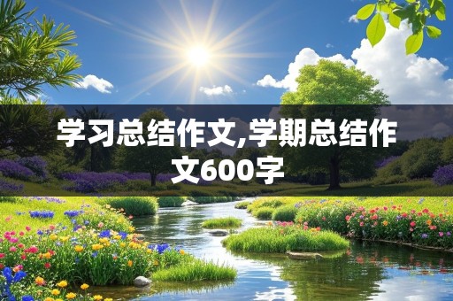 学习总结作文,学期总结作文600字