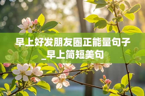 早上好发朋友圈正能量句子_早上简短美句