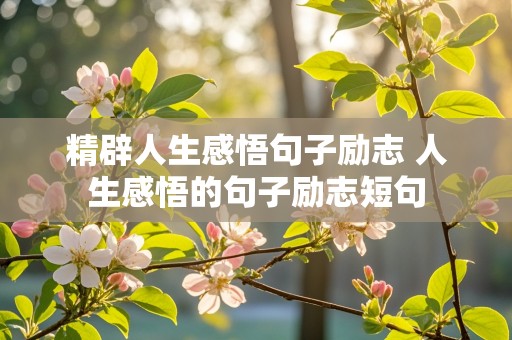 精辟人生感悟句子励志 人生感悟的句子励志短句