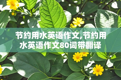 节约用水英语作文,节约用水英语作文80词带翻译