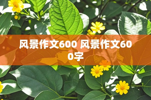 风景作文600 风景作文600字