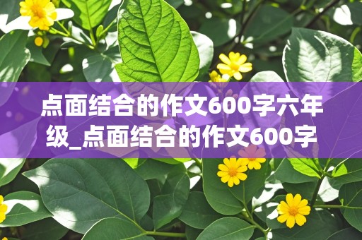 点面结合的作文600字六年级_点面结合的作文600字六年级运动会