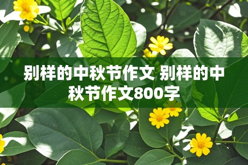 别样的中秋节作文 别样的中秋节作文800字