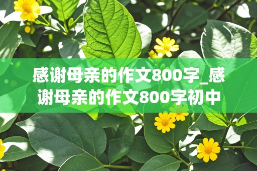 感谢母亲的作文800字_感谢母亲的作文800字初中