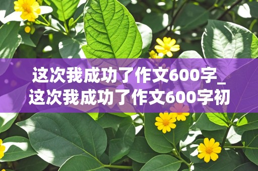 这次我成功了作文600字_这次我成功了作文600字初一