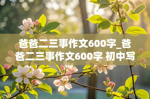 爸爸二三事作文600字_爸爸二三事作文600字 初中写人