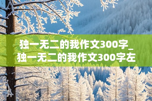 独一无二的我作文300字_独一无二的我作文300字左右