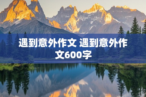 遇到意外作文 遇到意外作文600字