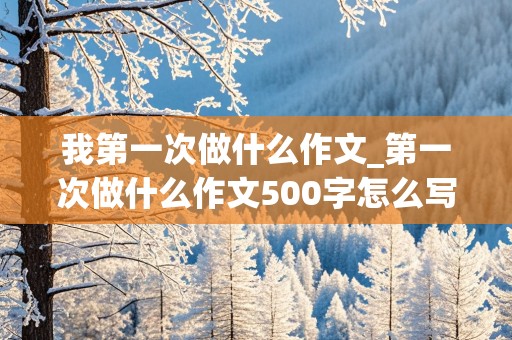 我第一次做什么作文_第一次做什么作文500字怎么写