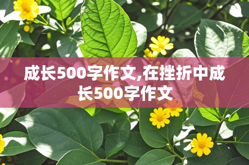 成长500字作文,在挫折中成长500字作文