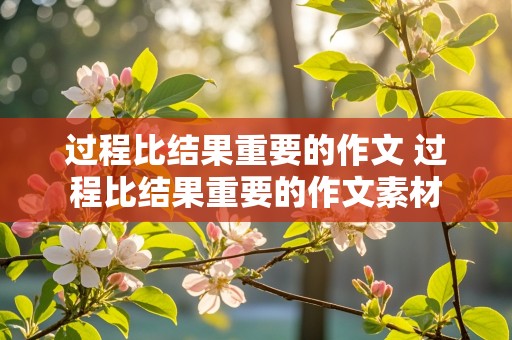 过程比结果重要的作文 过程比结果重要的作文素材