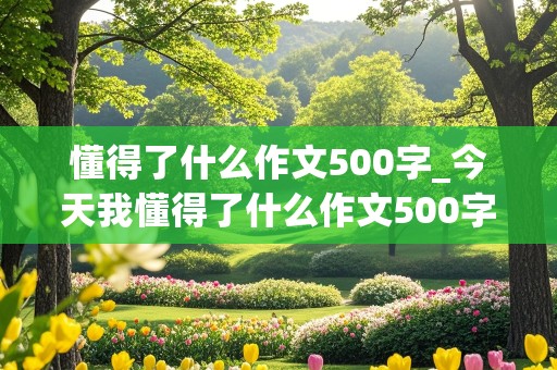 懂得了什么作文500字_今天我懂得了什么作文500字