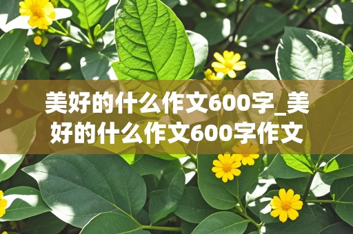 美好的什么作文600字_美好的什么作文600字作文