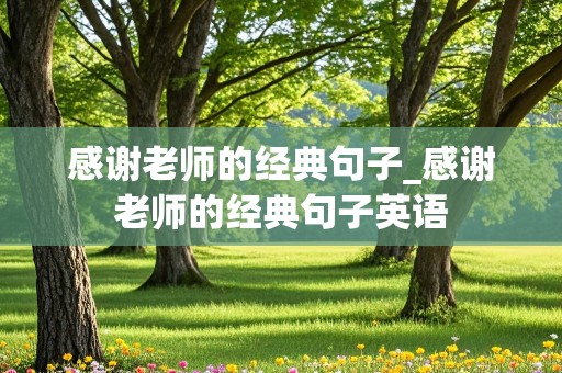 感谢老师的经典句子_感谢老师的经典句子英语