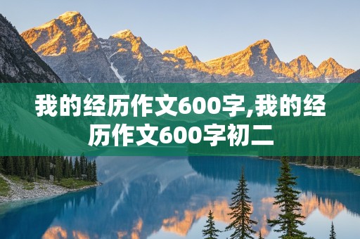 我的经历作文600字,我的经历作文600字初二