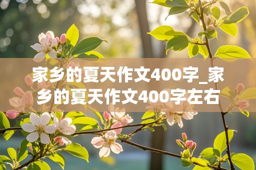 家乡的夏天作文400字_家乡的夏天作文400字左右