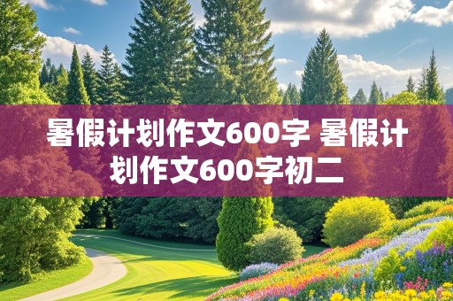 暑假计划作文600字 暑假计划作文600字初二