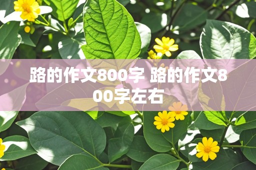 路的作文800字 路的作文800字左右