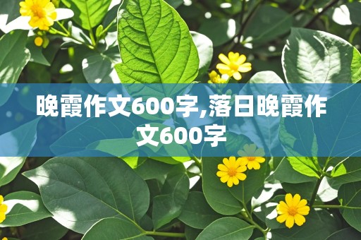 晚霞作文600字,落日晚霞作文600字