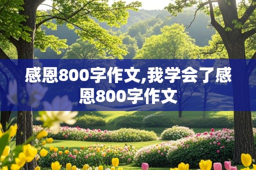 感恩800字作文,我学会了感恩800字作文