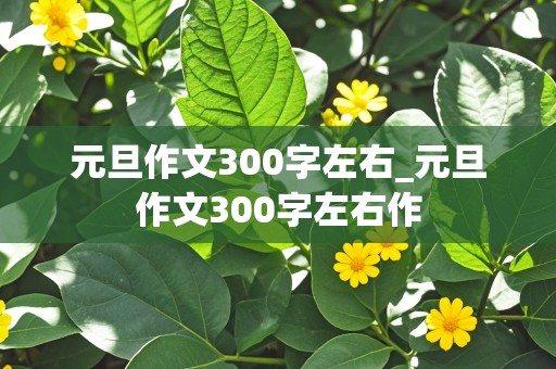 元旦作文300字左右_元旦作文300字左右作