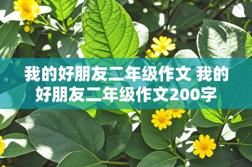 我的好朋友二年级作文 我的好朋友二年级作文200字