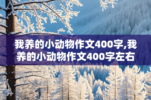 我养的小动物作文400字,我养的小动物作文400字左右